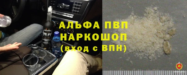ПСИЛОЦИБИНОВЫЕ ГРИБЫ Вязники