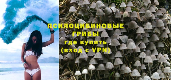 шишки Вязьма