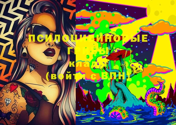 шишки Вязьма