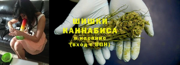 дмт Вяземский