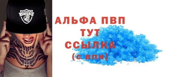 ПСИЛОЦИБИНОВЫЕ ГРИБЫ Вязники
