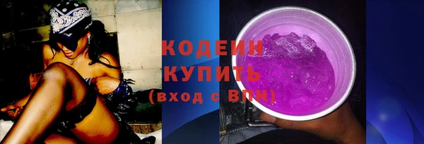 дмт Вяземский