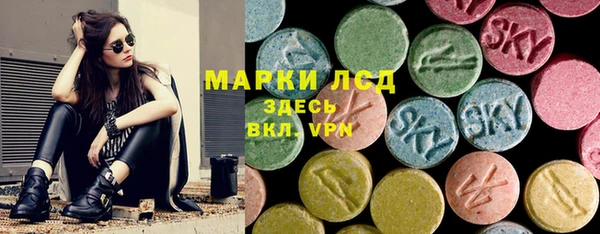 ПСИЛОЦИБИНОВЫЕ ГРИБЫ Вязники