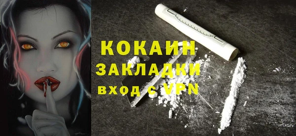 шишки Вязьма