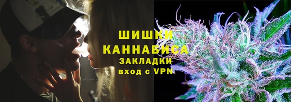 ПСИЛОЦИБИНОВЫЕ ГРИБЫ Вязники