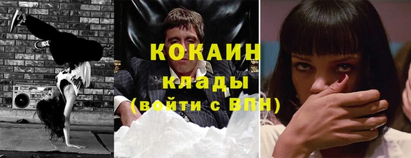 шишки Вязьма