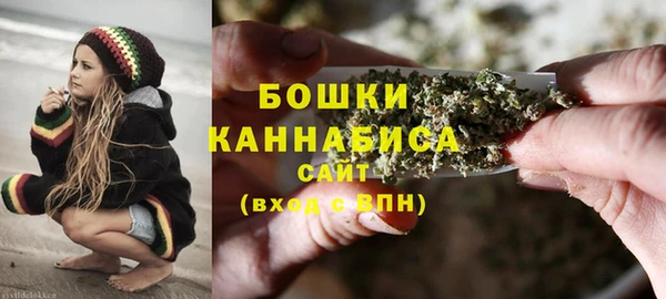 ПСИЛОЦИБИНОВЫЕ ГРИБЫ Вязники
