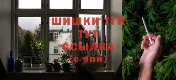 ПСИЛОЦИБИНОВЫЕ ГРИБЫ Вязники