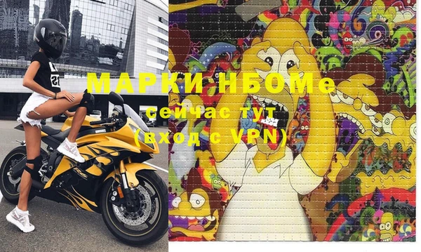 ПСИЛОЦИБИНОВЫЕ ГРИБЫ Вязники